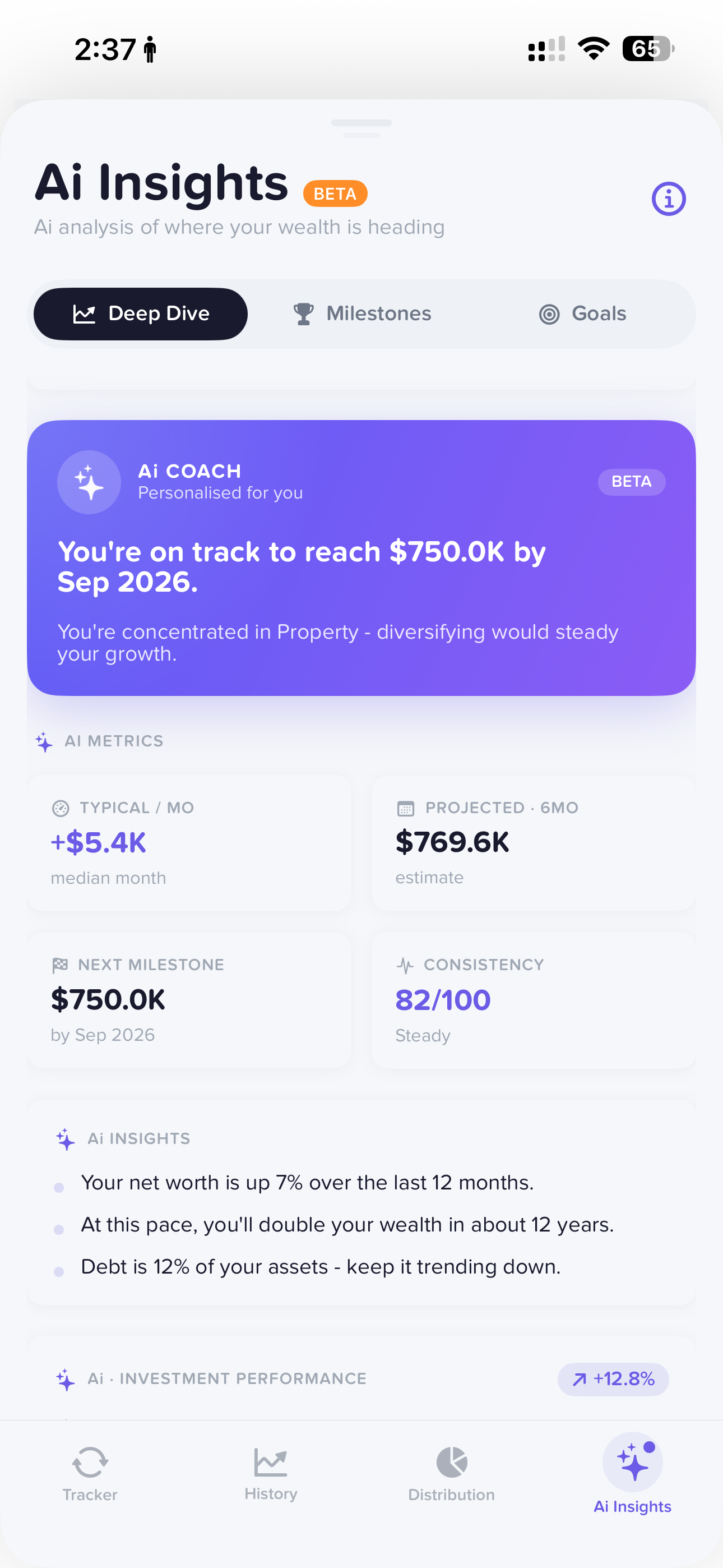 Netvo Ai Coach - personalised wealth analysis and metrics