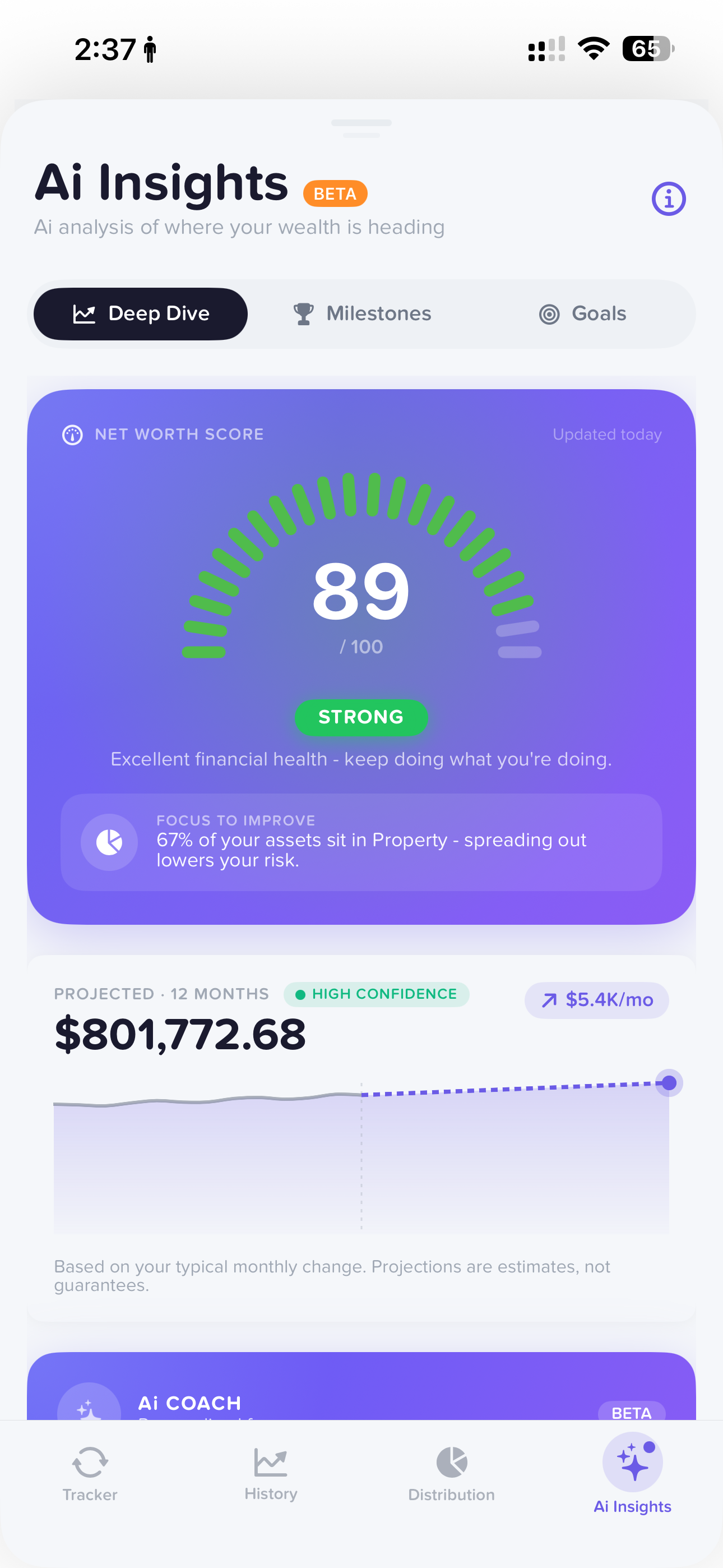 Netvo Ai Insights - Net Worth Score