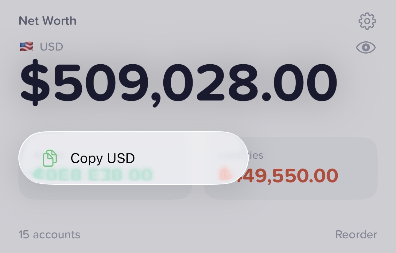 Copy Net Worth screenshot